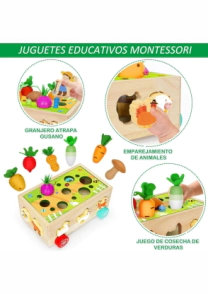 Did&aacute;ctico madera con fruta